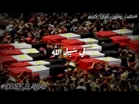 ولا تحسبن الذين قتلوا في سبيل الله امواتا سورة آل عمران الآيه 169 القارئ ماهر المعيقلي