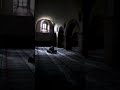 Ya Mry Allah Shorts Shortvideo Viral Allah Islam Ytshorts Ytshorts Naat Ya Mry Allah Shorts Shortvideo Viral Allah Islam Ytshorts Ytshorts Naat