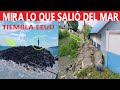 ESTO SALIÓ DEL MAR VÍDEOS IMPACTANTES / TIEMBLA EEUU ALERTA IMPORTANTE / SE ABRE LA TIERRA POR SISMO