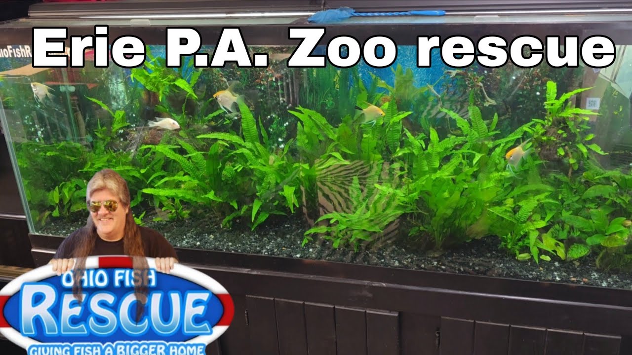 PA Zoo visits ohio fish rescue