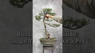 Bonsai Pruning Guide: Shape Your Tree Like a Pro #BonsaiPruning #BonsaiGuide #BonsaiArt #Bonsai