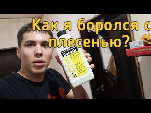 Избавляемся от грибка, мха, плесени в частном доме