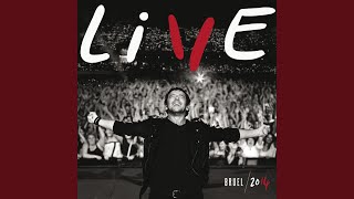 Video thumbnail of "Patrick Bruel - Vous (Live)"