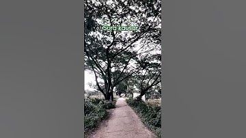 surah kausar #egzonibrahimi #surahkawthar #سورة_الكوثر #shortvideo