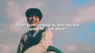 Stray Kids 스트레이 키즈 0325 Türkçe Çeviri Ot8