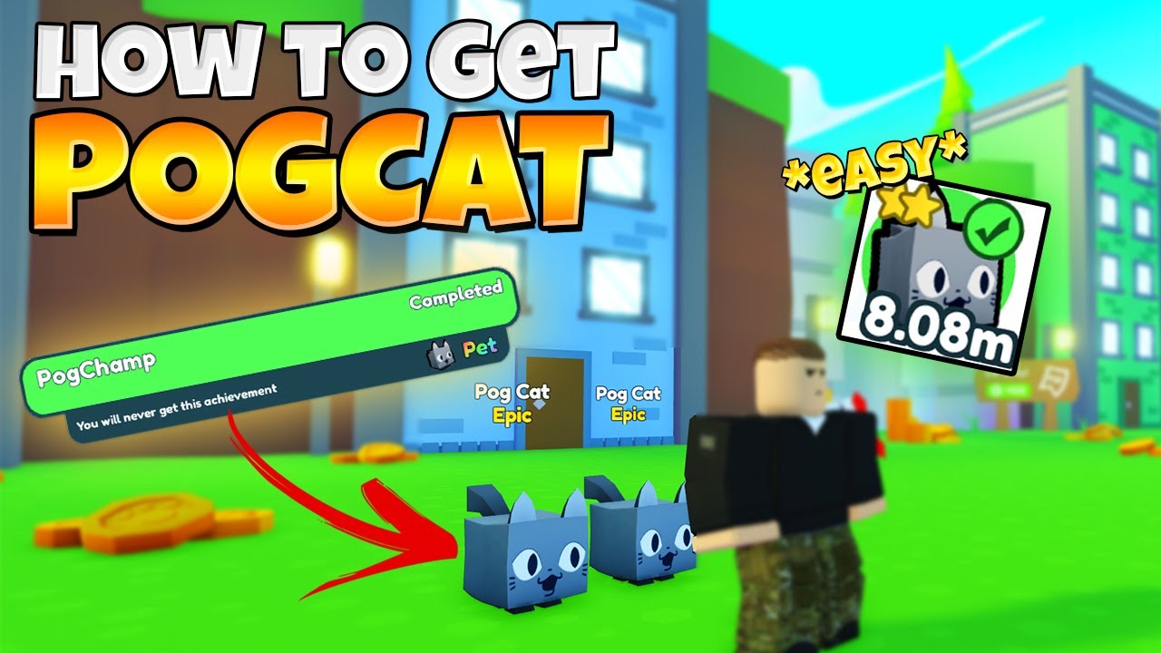 Pogcat HOW TO GET POGCAT *EASY* IN PET SIMULATOR X II ROBLOX - YouTube