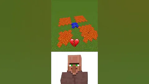 (Lava and Water Logic 😳) Minecraft Villager Ei Ei Ei Meme #minecraft #memes #funny #fyp