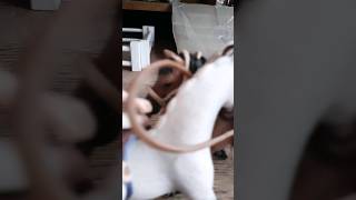 ikuinen ystävä🤗