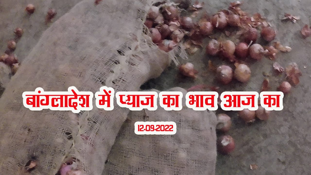onion price in bangladesh today onion price bangladesh YouTube