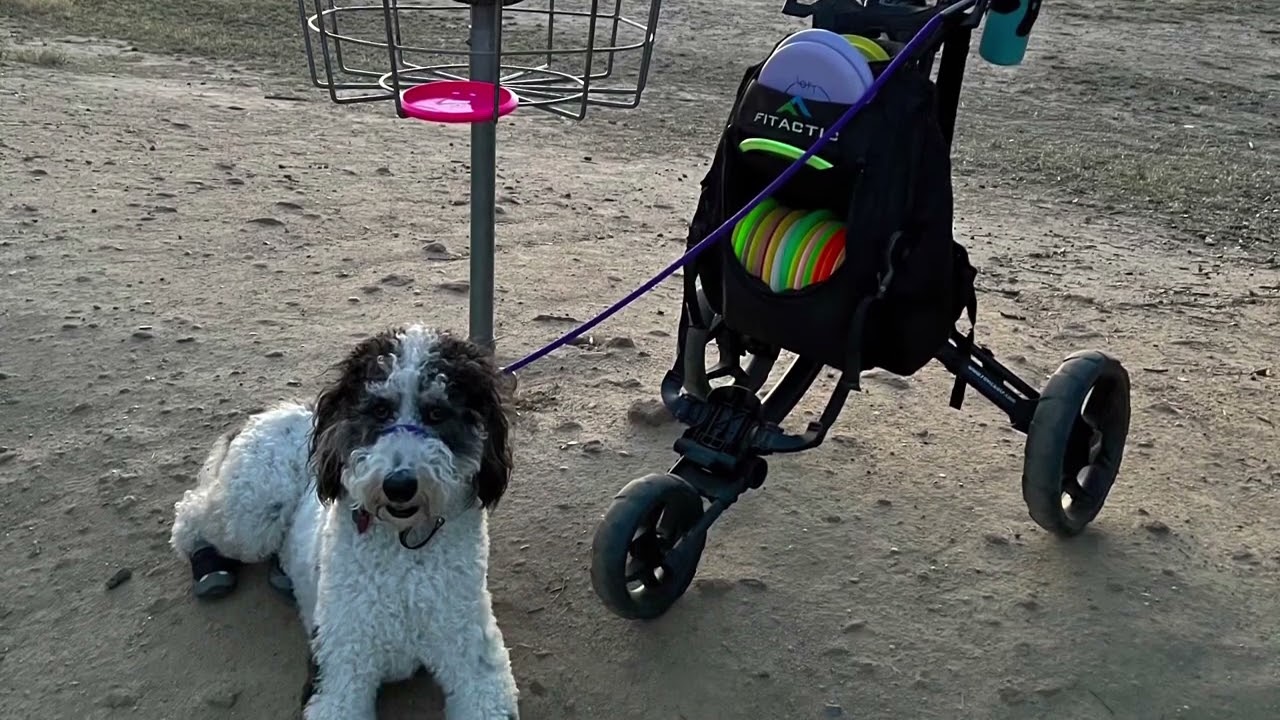 Disc Golf Woodward Park May 6th 2022 YouTube