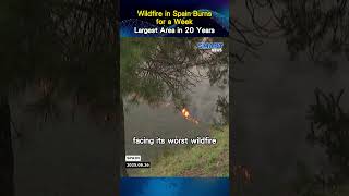 Wildfires Rage in Spain’s Galicia: 4,700 Hectares Burned Amid Europe’s Worst Fire Season