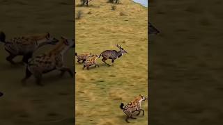 a very nice video #educational #shorts #viral #amazing