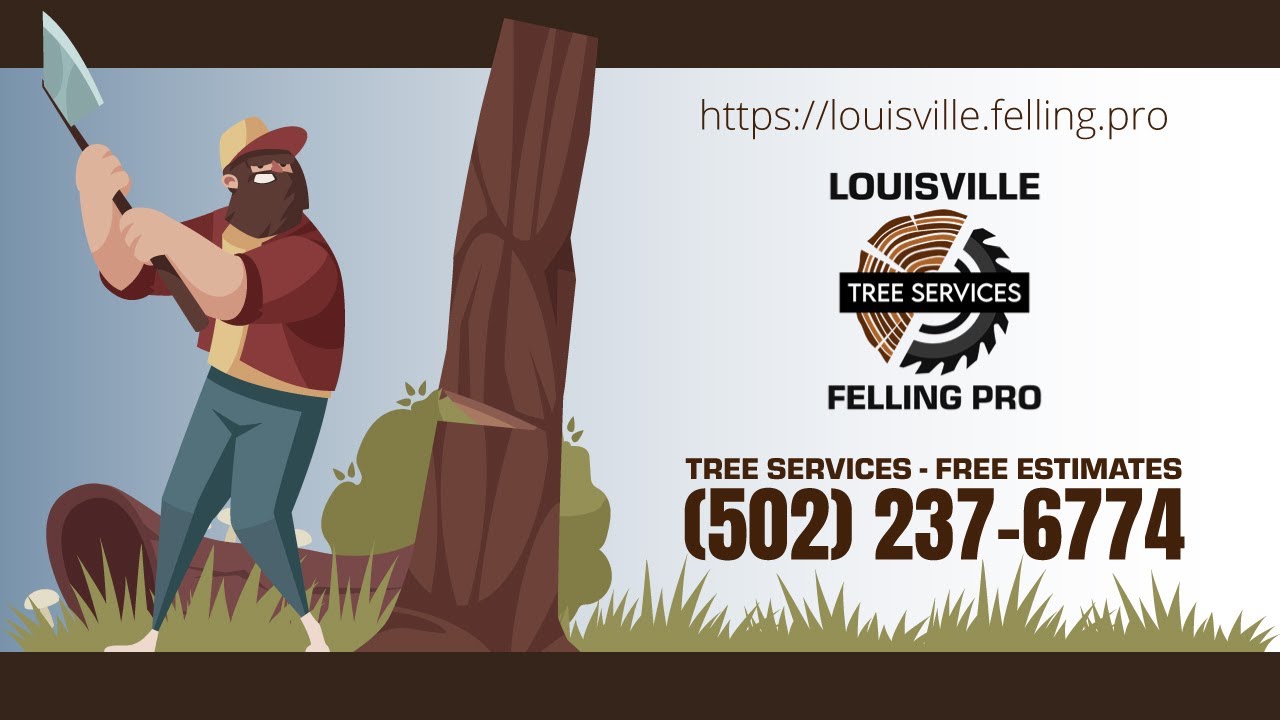 Tree Service Louisville Kentucky Louisville Felling Pro YouTube