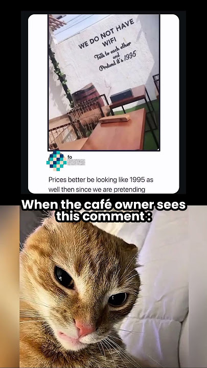 Wait a Second 🤔 #meme #memes #fyp