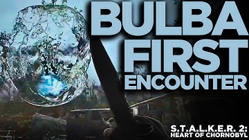 Bulba Anomaly First Encounter (S.T.A.L.K.E.R. 2: Heart of Chornobyl Random Stuff)