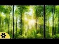 Study Music, Concentration, Focus, Meditation, Memory, Work Music, Relaxing Music, Study, ✿2834C