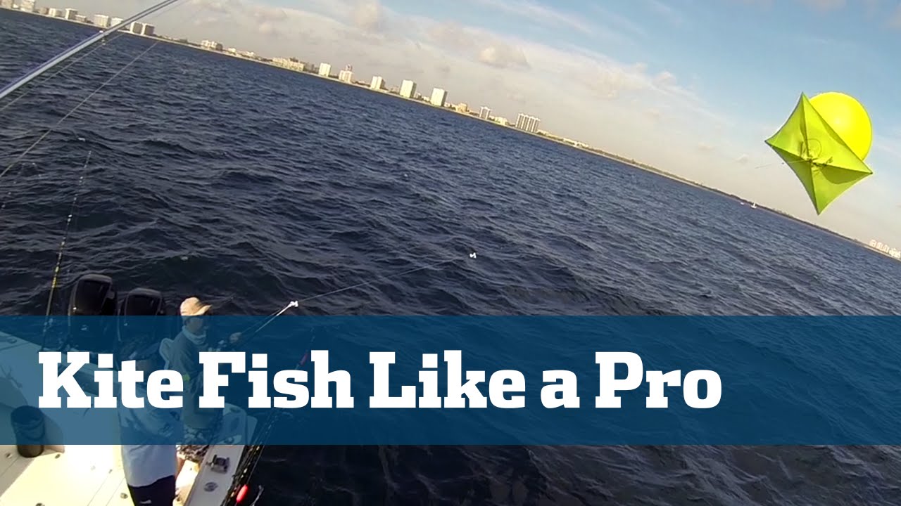 6 Saltwater Fishing Pros Share Their Best Kite Fishing Tips (VIDEO)