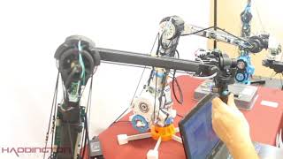 Dexter's Automatica Showcase