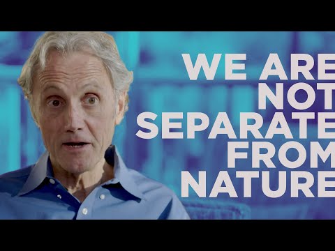 My Connection to Nature was Restored by Psychedelics - Rick Tarnas PhD - Interview & Live Q&A