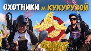 картинка: Как кукуруза заставила нас кататься 2 дня 🌽🚴‍♀️