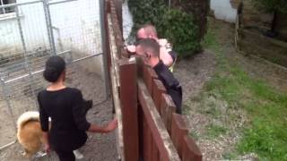 Beware Of The Bailif.