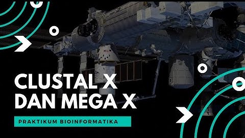 CLUSTALX DAN MEGAX (PRAKTIKUM BIOINFORMATIKA KELOMPOK 5B)
