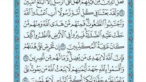 تلاوة سورة النحل من الآية 36 إلى الآية 39