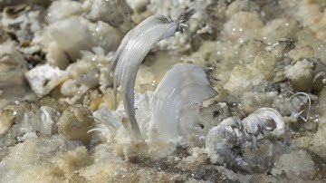 Gypsum Flower Formations in B & O Cave, Kentucky