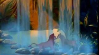 Löwen König 1 und 2 - Kann es wirklich Liebe sein
