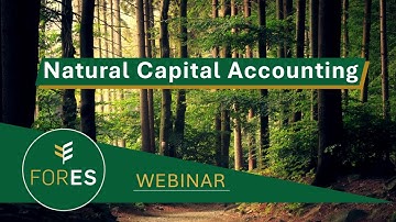 Natural Capital Accounting in Irish Forestry - ForES Project