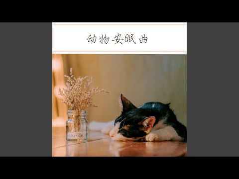 Regardez 最好的朋友 sur YouTube
