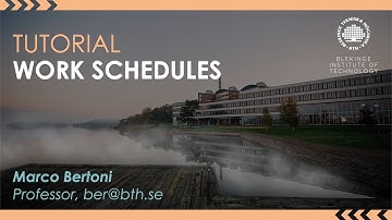 SIMIO Work Schedules