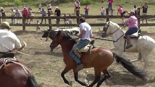 Frias 2022 - 2º encierro