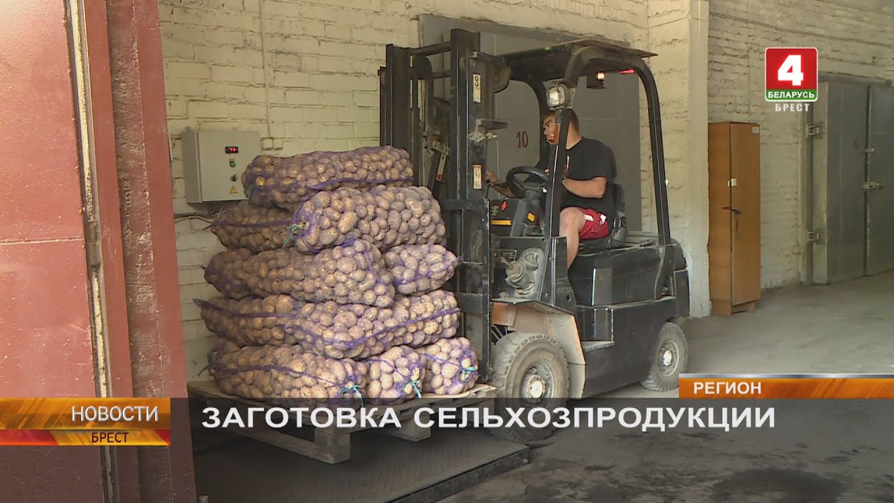 ЗАГОТОВКА СЕЛЬХОЗПРОДУКЦИИ - YouTube