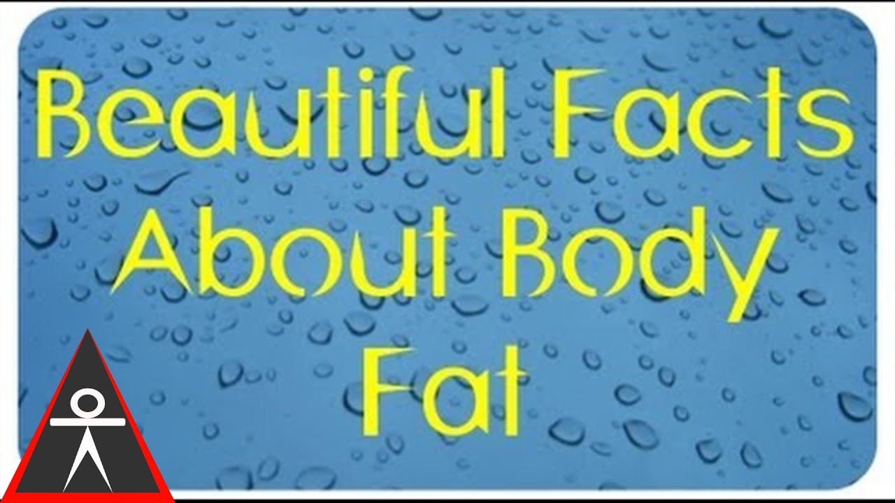 calisthenics workout program for beginners Beautiful Truths About Body Fat