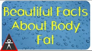 Beautiful Truths About Body Fat
