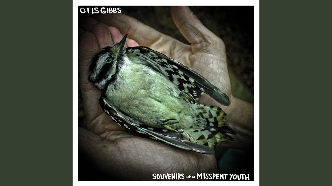 Otis Gibbs - Kokomo Bar accords