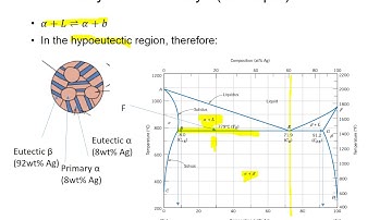 Phase Transformation Reaction & Microstructure Development - HKUST MECH 2410 Tutorial 8 Part 2