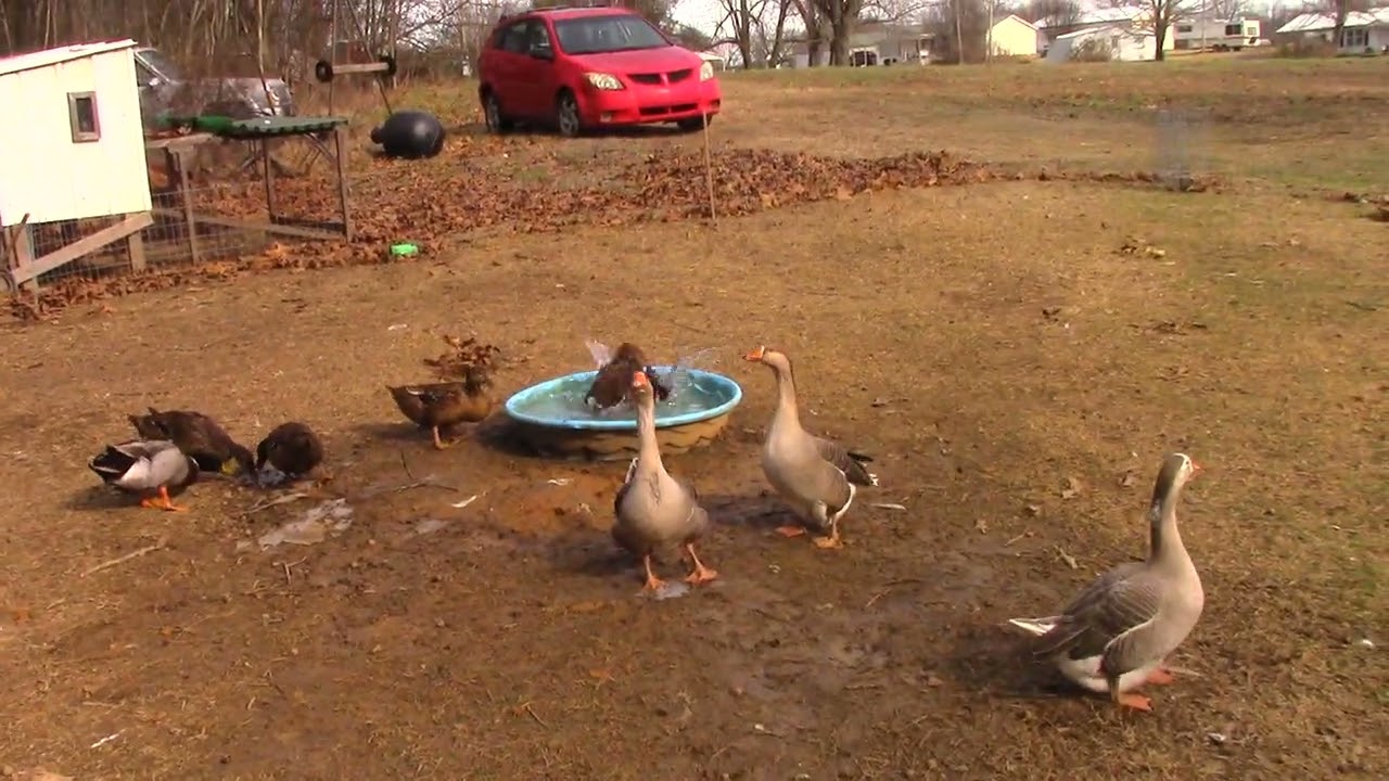 12/31/2025 Water Routine