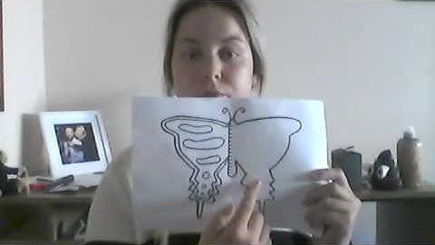 Assessment 2 Presentation on a maths phenomenon