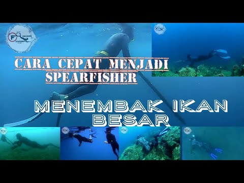 Video: Cara Melakukan Spearfishing