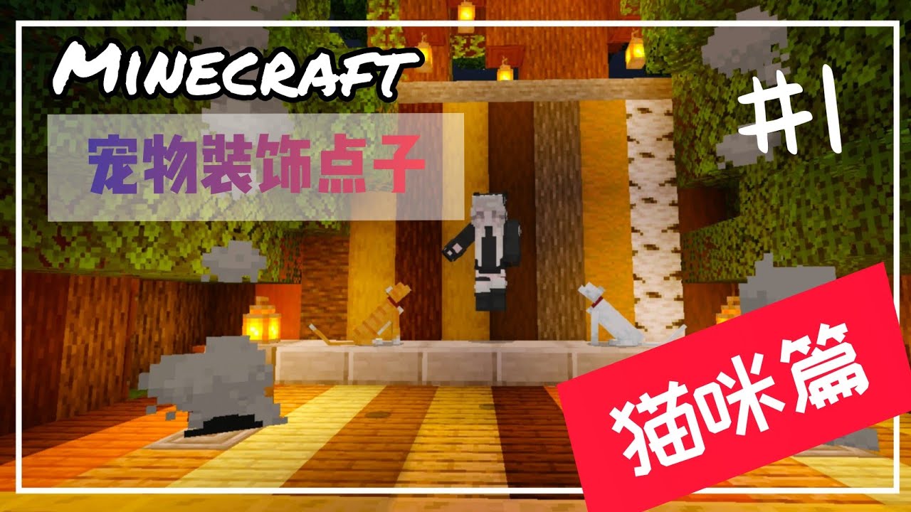 Minecraft 宠物装饰点子 1 猫咪篇 Youtube