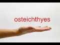 How to Pronounce osteichthyes - American English