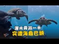 潛水員海底游到一半　突遭海龜巴頭超傻眼