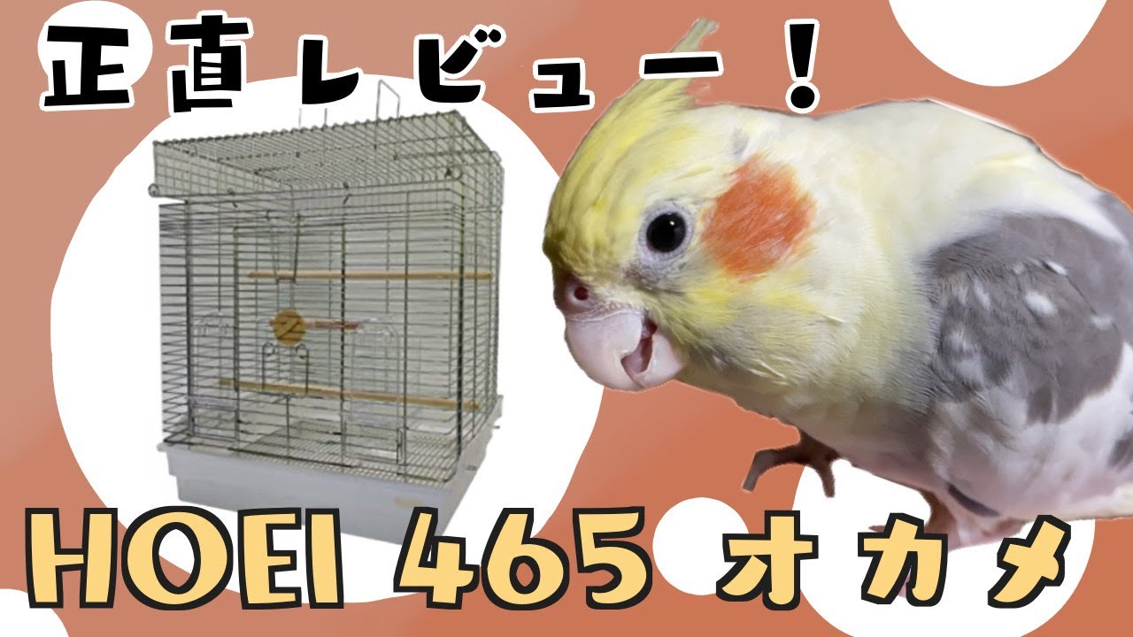 【鳥籠】HOEI465オカメって実際どうなの？本気でレビューしました！