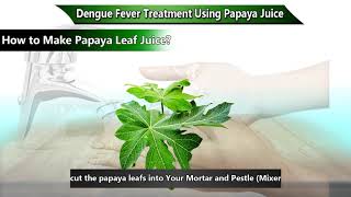 Dengue Fever Treatment Using Papaya Juice  & How to Make Papaya Leaf Juice