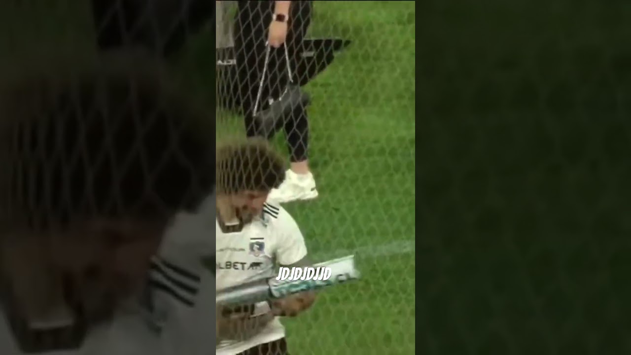 Lo mejor de Peluca falcón en Como Colo 