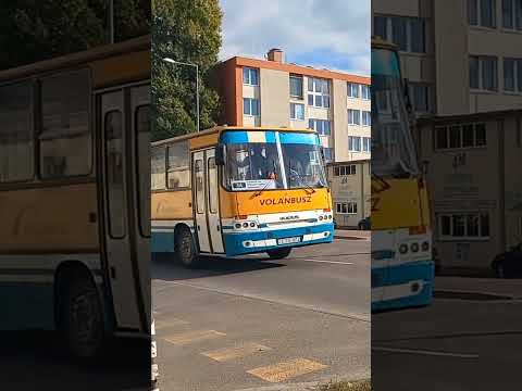 Ikarus 260 in