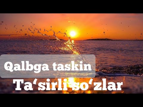 Tasirli so'zlar aforizmlar