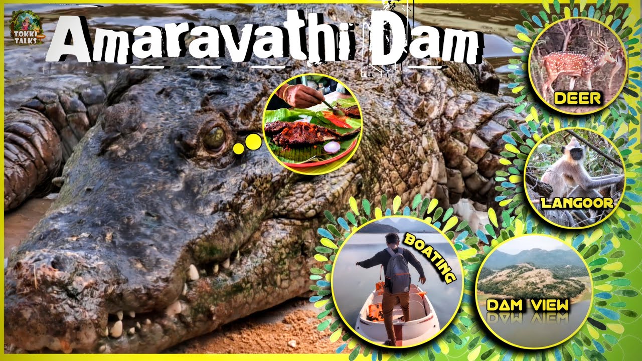 Amaravathi dam | அமராவதி அணை| Amaravathi | Crocodile park #travel #nature #dam #amaravathi #animals